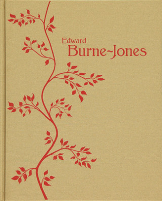 Kniha Edward Burne-Jones Alison Smith