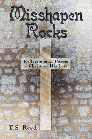 Kniha Misshapen Rocks T S Reed