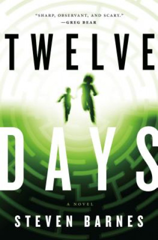 Kniha Twelve Days Steven Barnes