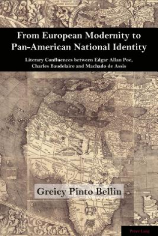 Kniha From European Modernity to Pan-American National Identity Greicy Pinto Bellin