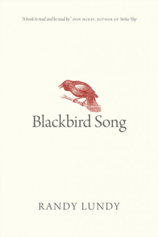 Kniha Blackbird Song Randy Lundy