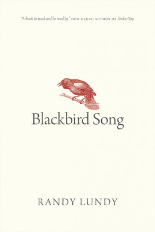 Buch Blackbird Song Randy Lundy