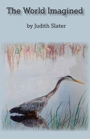 Könyv The World Imagined Judith Slater