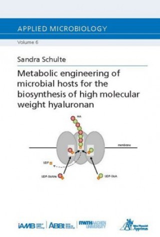 Buch Metabolic engineering of microbial hosts for the biosynthesis of high molecular weight hyaluronan Sandra Schulte