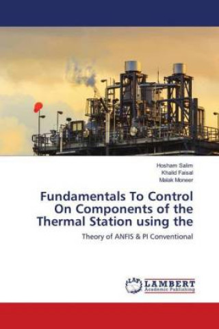 Kniha Fundamentals To Control On Components of the Thermal Station using the Hosham Salim