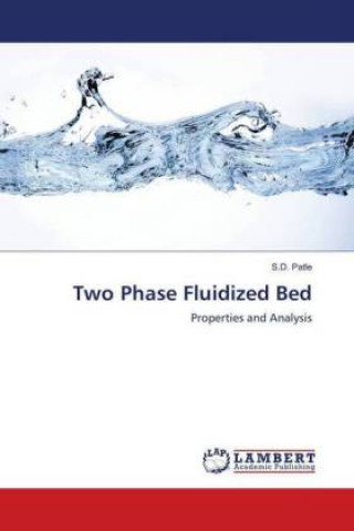 Book Two Phase Fluidized Bed S. D. Patle