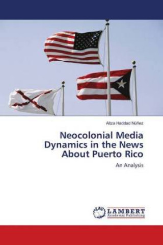 Könyv Neocolonial Media Dynamics in the News About Puerto Rico Aitza Haddad Núñez