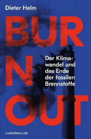 Kniha Burn Out Dieter Helm