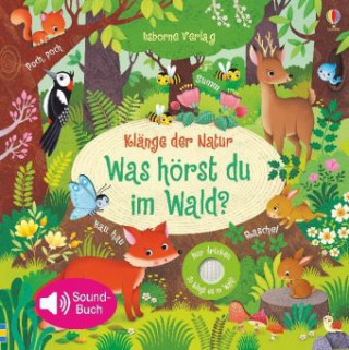 Knjiga Klänge der Natur: Was hörst du im Wald? Sam Taplin