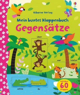 Knjiga Mein buntes Klappenbuch: Gegensätze Felicity Brooks