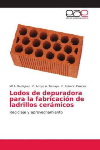 Książka Lodos de depuradora para la fabricacion de ladrillos ceramicos Mª A. Rodríguez