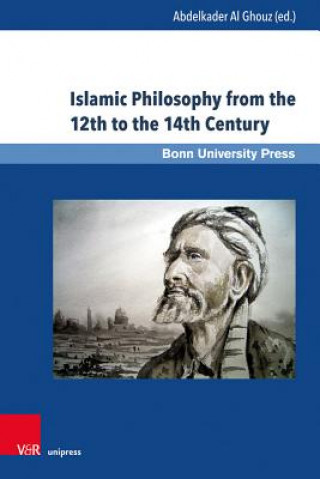 Kniha Islamic Philosophy from the 12th to the 14th Century Stephan Conermann