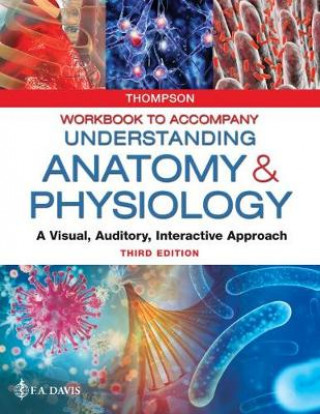 Kniha Workbook to Accompany Understanding Anatomy & Physiology F.A. DAVIS