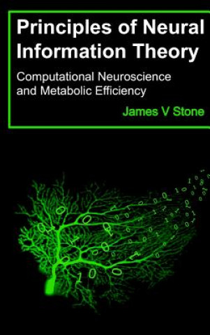 Kniha Principles of Neural Information Theory JAMES V STONE