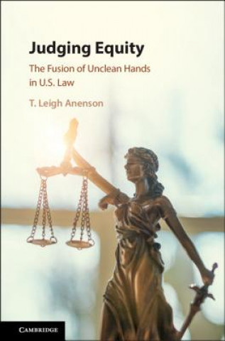 Könyv Judging Equity T. Leigh Anenson
