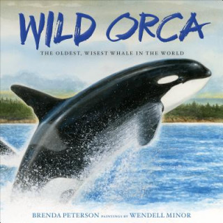 Könyv Wild Orca BRENDA PETERSON