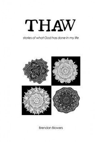 Knjiga Thaw BRENDAN BLOWERS