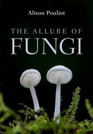 Buch Allure of Fungi Alison Pouliot