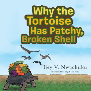 Kniha Why the Tortoise Has Patchy, Broken Shell Ijey Nwachuku