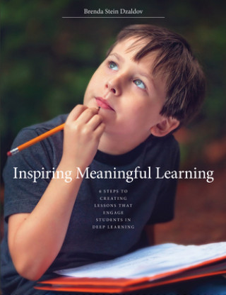 Kniha Inspiring Meaningful Learning Brenda Stein Dzaldov