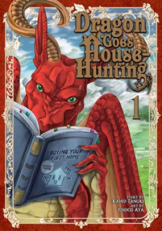 Könyv Dragon Goes House-Hunting Vol. 1 KAWO TANUKI