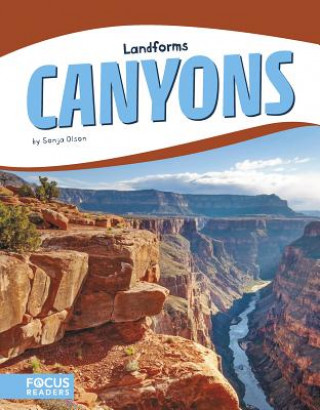 Kniha Landforms: Canyons Sonja Olson