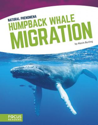 Boek Natural Phenomena: Humpback Whale Migration Alexis Burling