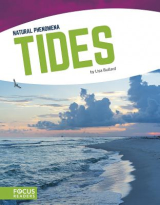 Boek Natural Phenomena: Tides Lisa Bullard