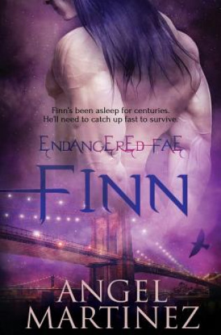 Knjiga Finn ANGEL MARTINEZ