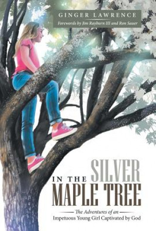 Knjiga In the Silver Maple Tree Ginger Lawrence