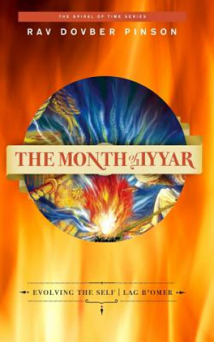 Buch The Month of Iyyar: Evolving the Self - Lag B'Omer DovBer Pinson