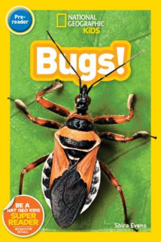 Kniha National Geographic Kids Readers: Bugs (Pre-reader) Shira Evans
