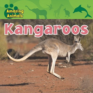 Knjiga Kangaroos Christina Wilsdon