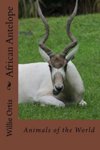 Könyv African Antelope: Animals of the World MR Willie Ortiz