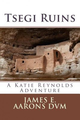 Knjiga Tsegi Ruins: A Katie Reynolds Adventure James E Aarons DVM