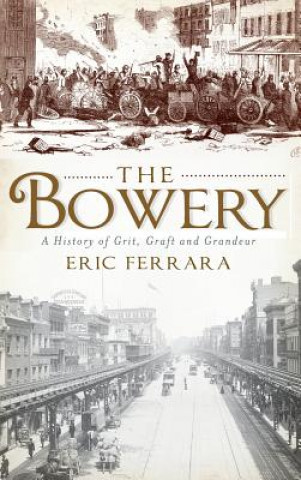 Kniha The Bowery: A History of Grit, Graft and Grandeur Eric Ferrara