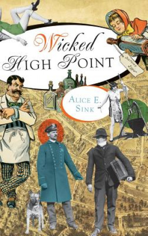 Kniha Wicked High Point Alice E Sink