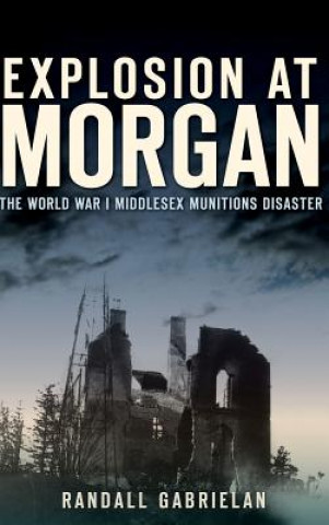 Kniha Explosion at Morgan: The World War I Middlesex Munitions Disaster Randall Gabrielan