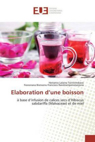 Kniha Elaboration d'une boisson Herisetra Lalaina Tsirinirindravo