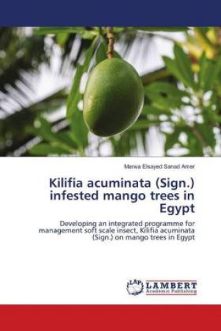 Książka Kilifia acuminata (Sign.) infested mango trees in Egypt Marwa Elsayed Sanad Amer