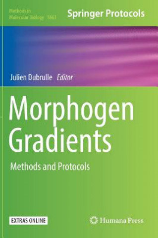 Book Morphogen Gradients Julien Dubrulle