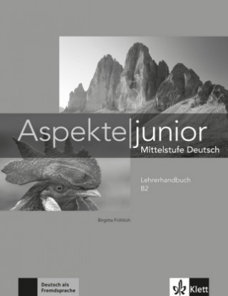 Kniha Aspekte junior Birgitta Fröhlich