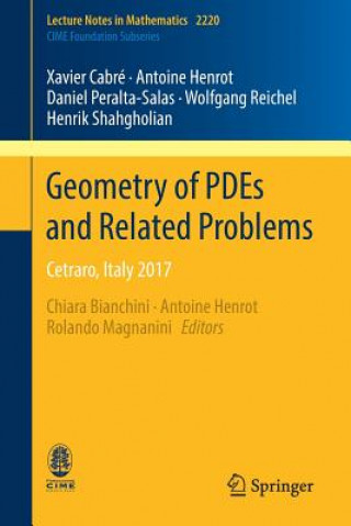 Kniha Geometry of PDEs and Related Problems Xavier Cabré