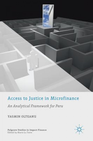 Kniha Access to Justice in Microfinance Yasmin Olteanu