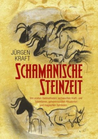 Kniha Schamanische Steinzeit Jürgen Kraft