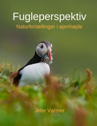 Kniha Fugleperspektiv Jette Varmer