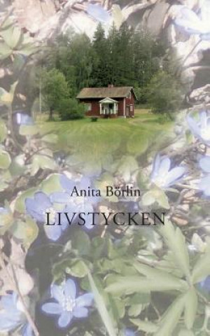 Kniha Livstycken Anita Borlin