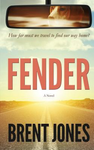 Knjiga Fender Brent Jones