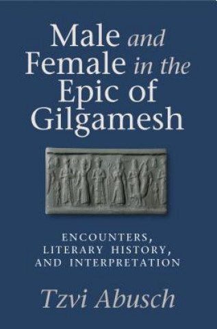 Kniha Male and Female in the Epic of Gilgamesh Tzvi Abusch