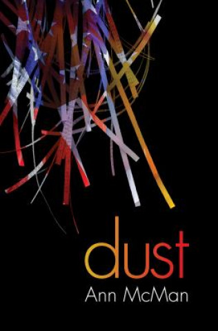 Buch Dust Ann McMan